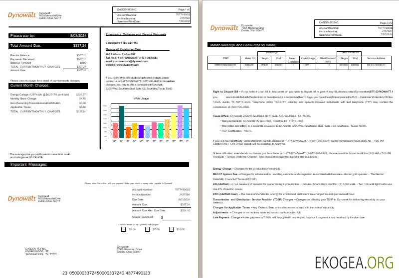 Facture de services publics pour les entreprises d'électricité de New York Dynowatt Formats Word et PDF, 2 pages